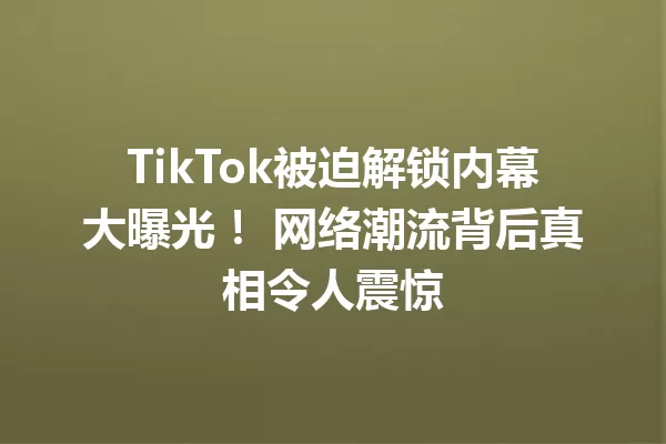 TikTok被迫解锁内幕大曝光! 网络潮流背后真相令人震惊 二