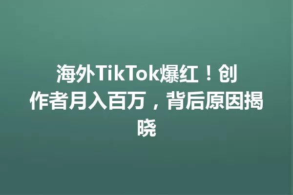 海外TikTok爆红!创作者月入百万,背后原因揭晓 二