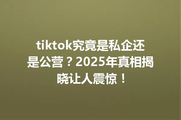 tiktok究竟是私企还是公营?2025年真相揭晓让人震惊! 一