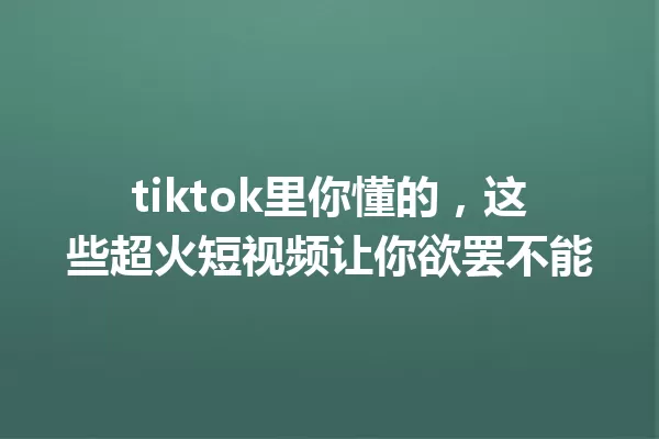 tiktok里你懂的,这些超火短视频让你欲罢不能 一