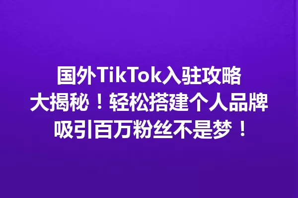 国外TikTok入驻攻略大揭秘!轻松搭建个人品牌吸引百万粉丝不是梦! 二