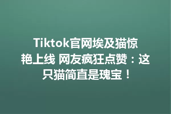 Tiktok官网埃及猫惊艳上线 网友疯狂点赞:这只猫简直是瑰宝! 二
