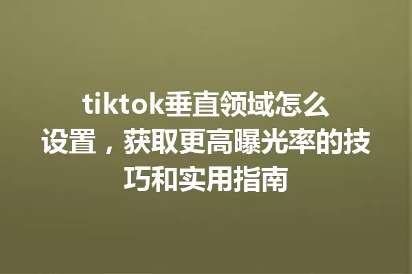 tiktok垂直领域怎么设置,获取更高曝光率的技巧和实用指南 一