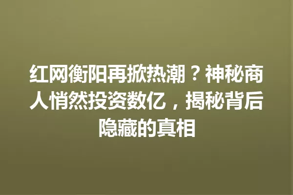 红网衡阳再掀热潮?神秘商人悄然投资数亿,揭秘背后隐藏的真相 一