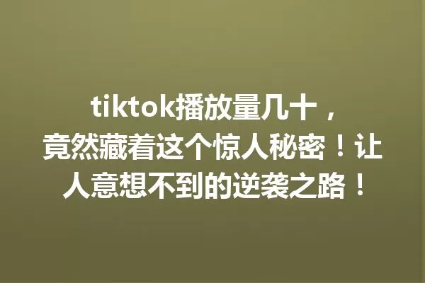 tiktok播放量几十,竟然藏着这个惊人秘密!让人意想不到的逆袭之路! 一