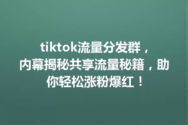 tiktok流量分发群,内幕揭秘共享流量秘籍,助你轻松涨粉爆红! 一