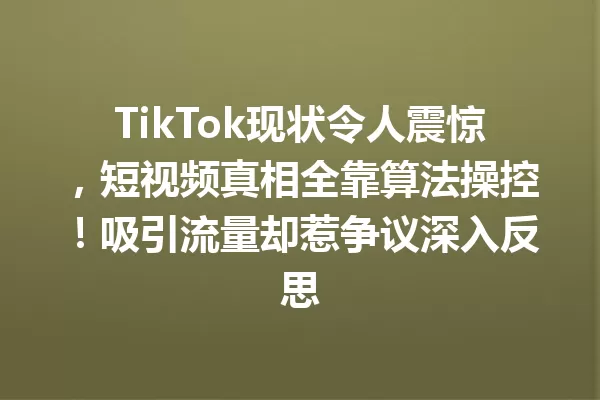 TikTok现状令人震惊,短视频真相全靠算法操控!吸引流量却惹争议深入反思 二