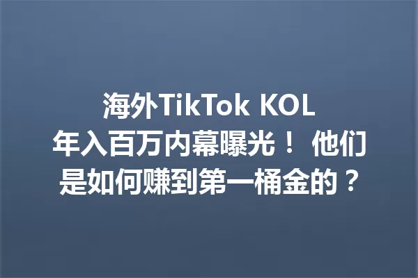 海外TikTok KOL年入百万内幕曝光! 他们是如何赚到第一桶金的? 二