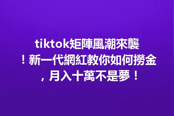 tiktok矩陣風潮來襲！新一代網紅教你如何撈金，月入十萬不是夢！ 二