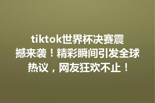 tiktok世界杯决赛震撼来袭!精彩瞬间引发全球热议,网友狂欢不止! 二