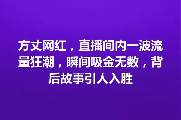 方丈网红,直播间内一波流量狂潮,瞬间吸金无数,背后故事引人入胜 一