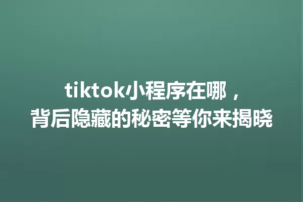 tiktok小程序在哪,背后隐藏的秘密等你来揭晓 一