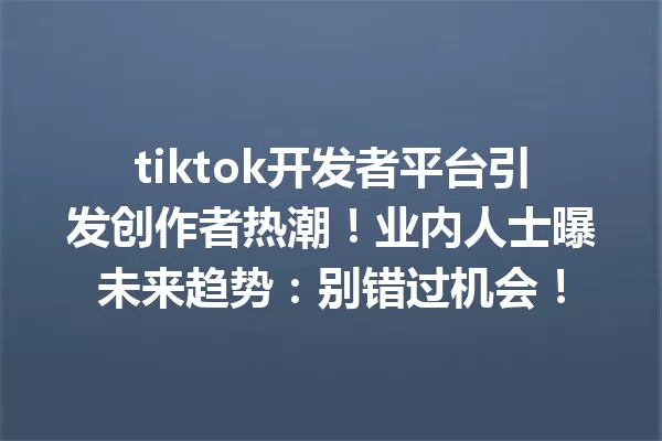 tiktok开发者平台引发创作者热潮!业内人士曝未来趋势:别错过机会! 二