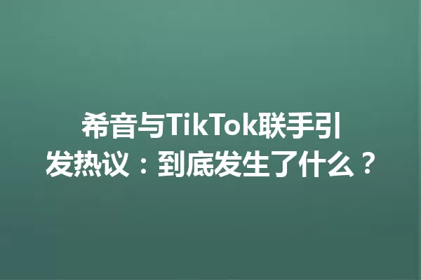 希音与TikTok联手引发热议:到底发生了什么? 二