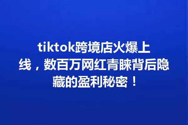 tiktok跨境店火爆上线,数百万网红青睐背后隐藏的盈利秘密! 二