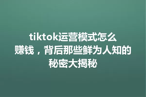 tiktok运营模式怎么赚钱,背后那些鲜为人知的秘密大揭秘 一