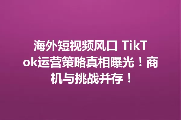 海外短视频风口 TikTok运营策略真相曝光!商机与挑战并存! 二