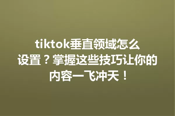 tiktok垂直领域怎么设置?掌握这些技巧让你的内容一飞冲天! 一