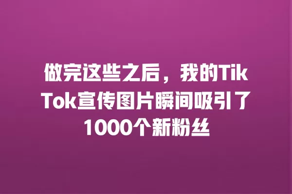 做完这些之后,我的TikTok宣传图片瞬间吸引了1000个新粉丝 一