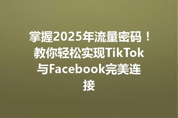 掌握2025年流量密码！教你轻松实现TikTok与Facebook完美连接 一