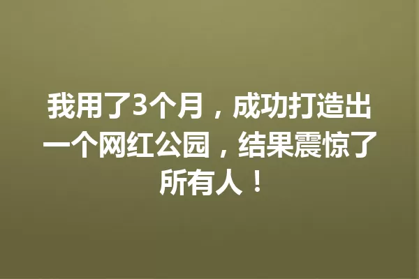 我用了3个月,成功打造出一个网红公园,结果震惊了所有人! 一