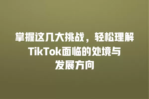 掌握这几大挑战,轻松理解TikTok面临的处境与发展方向 一