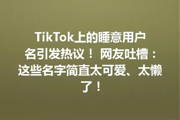 TikTok上的睡意用户名引发热议! 网友吐槽:这些名字简直太可爱、太懒了! 一