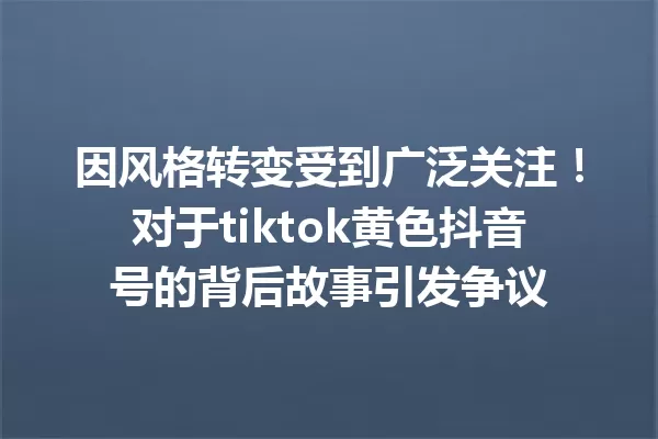 因风格转变受到广泛关注!对于tiktok黄色抖音号的背后故事引发争议 一