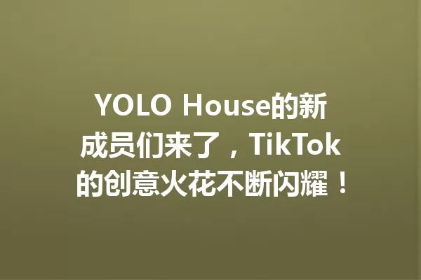 YOLO House的新成员们来了,TikTok的创意火花不断闪耀! 一