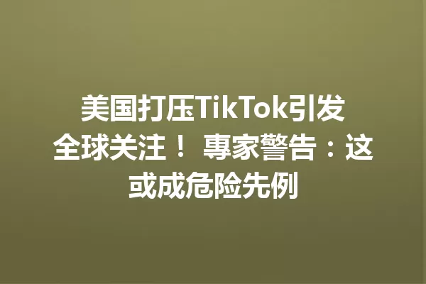 美国打压TikTok引发全球关注! 專家警告:这或成危险先例 一