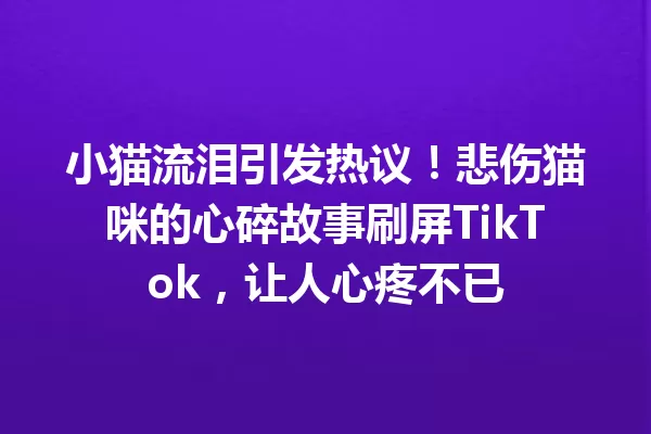 小猫流泪引发热议!悲伤猫咪的心碎故事刷屏TikTok,让人心疼不已 一
