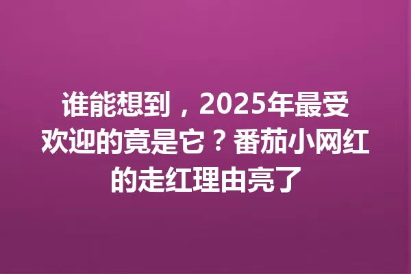 谁能想到，2025年最受欢迎的竟是它？番茄小网红的走红理由亮了 一