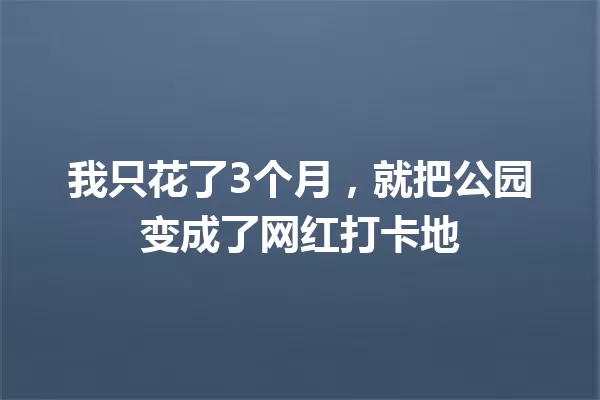 我只花了3个月,就把公园变成了网红打卡地 一