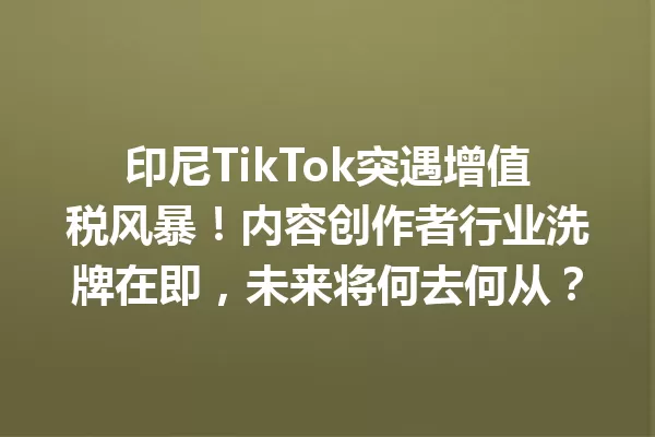 印尼TikTok突遇增值税风暴!内容创作者行业洗牌在即,未来将何去何从? 一