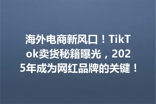 海外电商新风口!TikTok卖货秘籍曝光,2025年成为网红品牌的关键! 一
