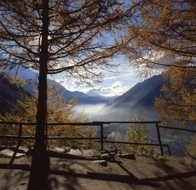 开卷有益的成语故事,教你轻松掌握人生智慧! 二