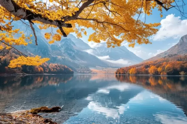 成语故事的启示，2025年你准备好洞察人生智慧了吗？ 二