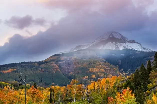 这个秘密,60%的人都还不知道抖音火山提成的真正玩法 四