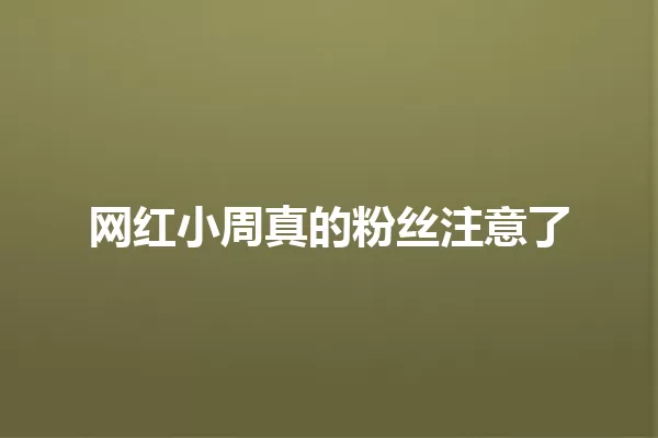 网红小周真的粉丝注意了 一