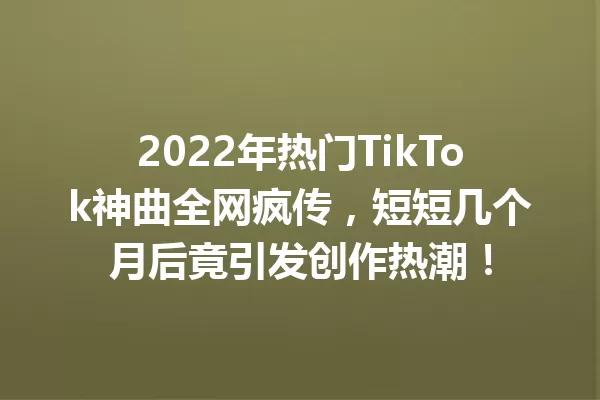 2022年热门TikTok神曲全网疯传,短短几个月后竟引发创作热潮! 一