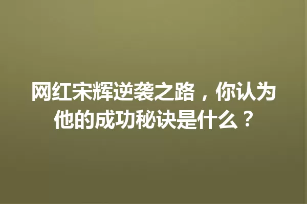 网红宋辉逆袭之路,你认为他的成功秘诀是什么? 一
