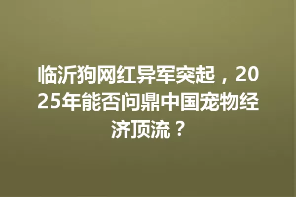 临沂狗网红异军突起，2025年能否问鼎中国宠物经济顶流？ 一