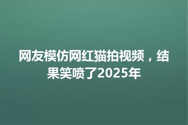 网友模仿网红猫拍视频,结果笑喷了2025年 一