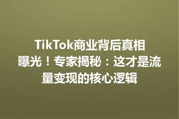 TikTok商业背后真相曝光!专家揭秘:这才是流量变现的核心逻辑 一