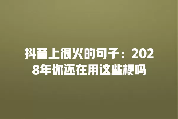 抖音上很火的句子：2028年你还在用这些梗吗 一
