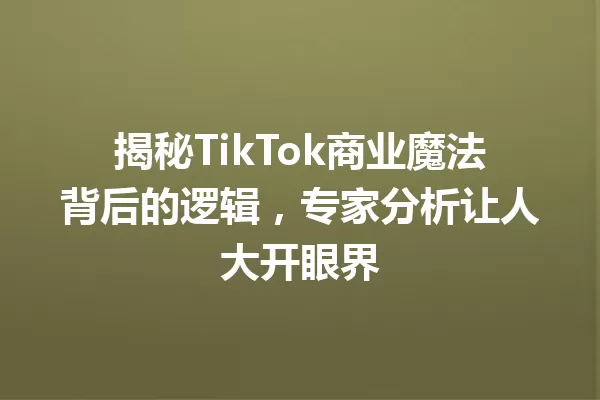 揭秘TikTok商业魔法背后的逻辑,专家分析让人大开眼界 一