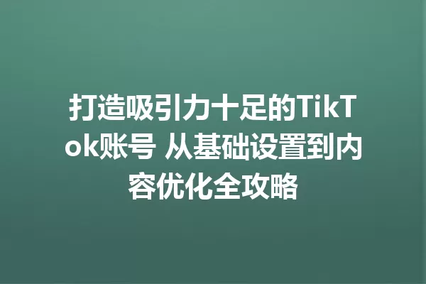 打造吸引力十足的TikTok账号 从基础设置到内容优化全攻略 一