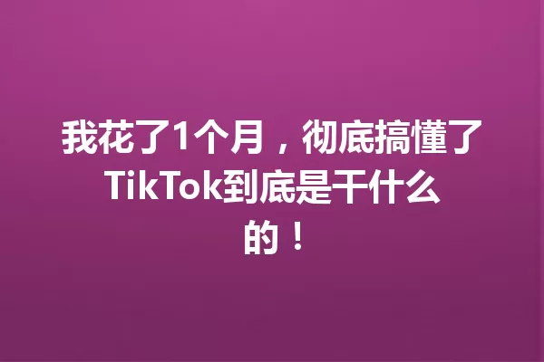 我花了1个月,彻底搞懂了TikTok到底是干什么的! 一