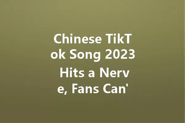 Chinese TikTok Song 2023 Hits a Nerve, Fans Can't Stop Reacting! 一