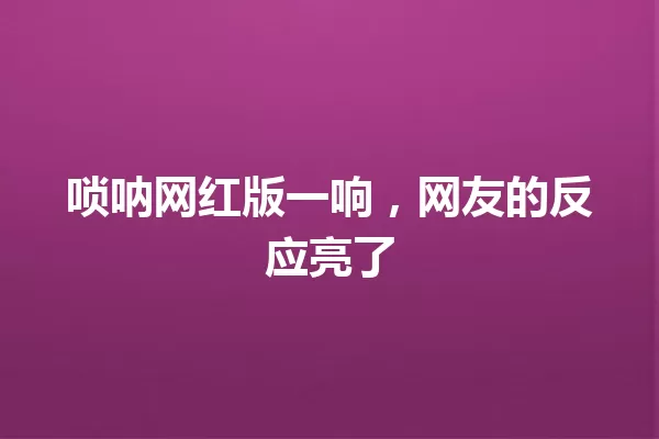 唢呐网红版一响,网友的反应亮了 一